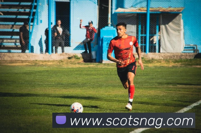 ag官网平台生态图